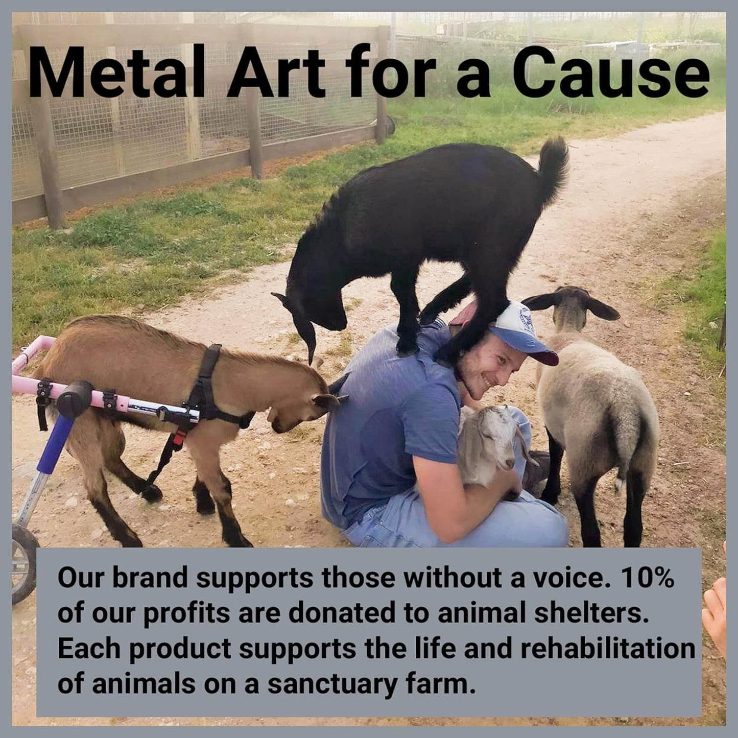 Metal Dog Wall Decor | Dog Wall Art | Metal Wall Art | Metal Wall Decor | BLIND SHOP JAIPUR