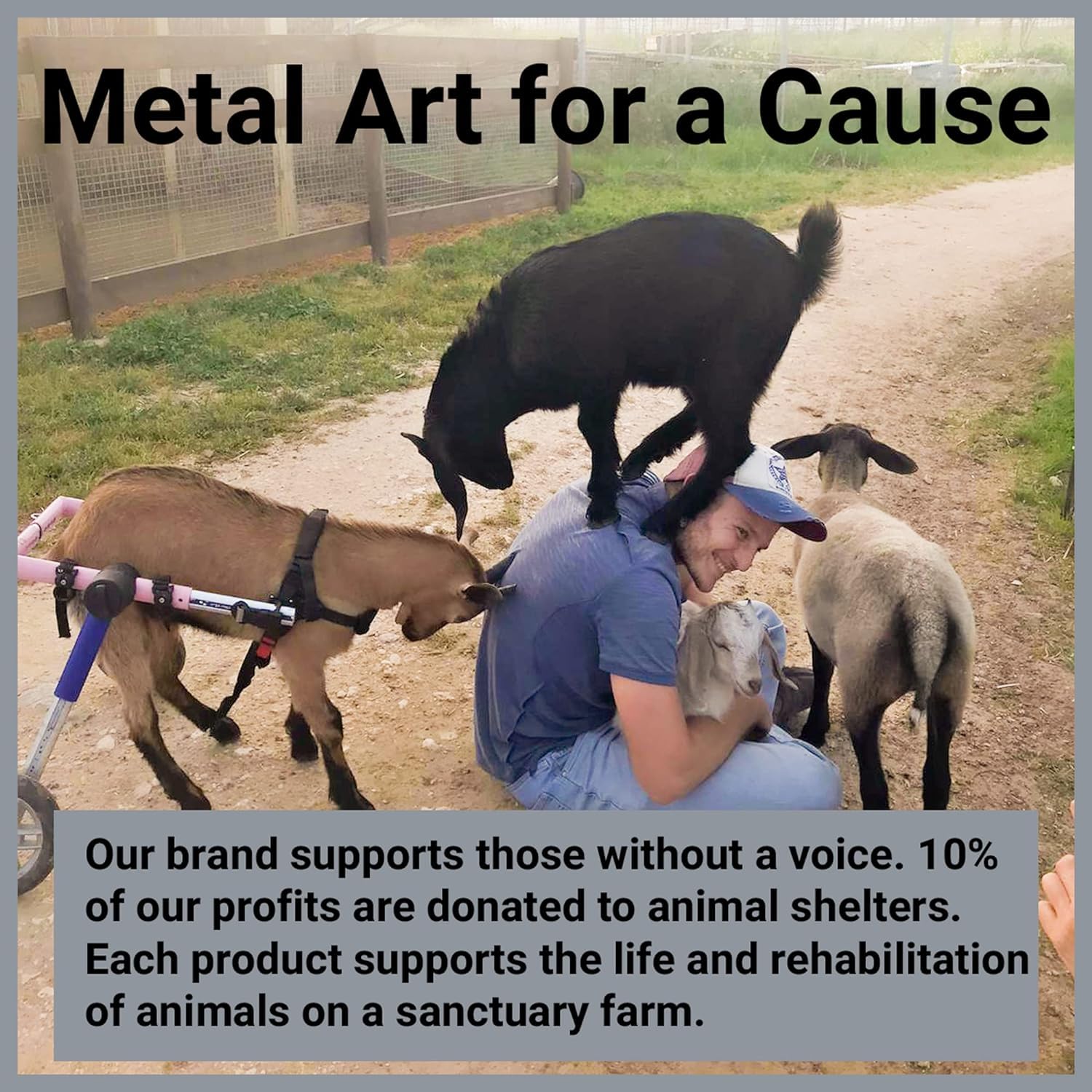 Metal Dog Wall Decor | Dog Wall Art | Metal Wall Art | Metal Wall Decor | BLIND SHOP JAIPUR